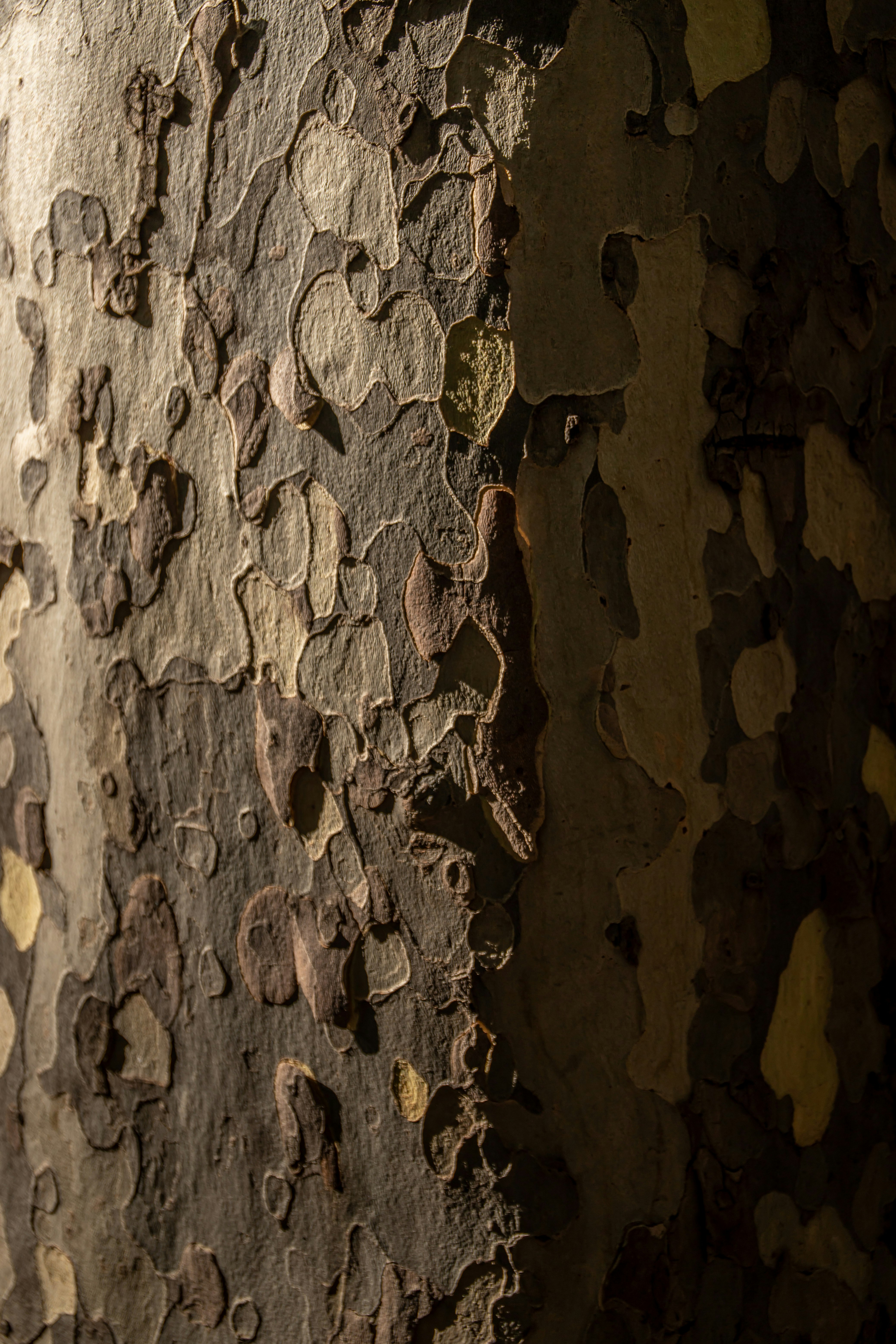 brown and white concrete wall